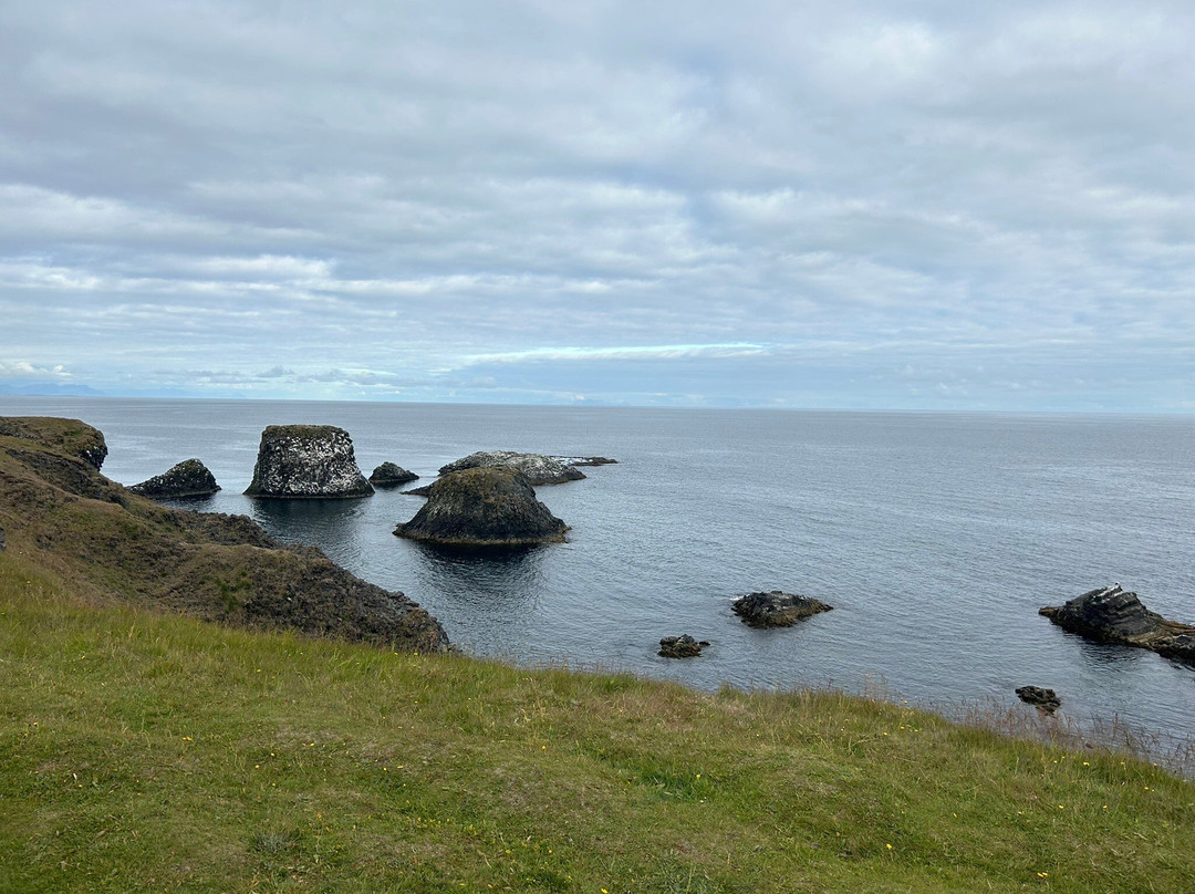 Arnarstapi Cliff