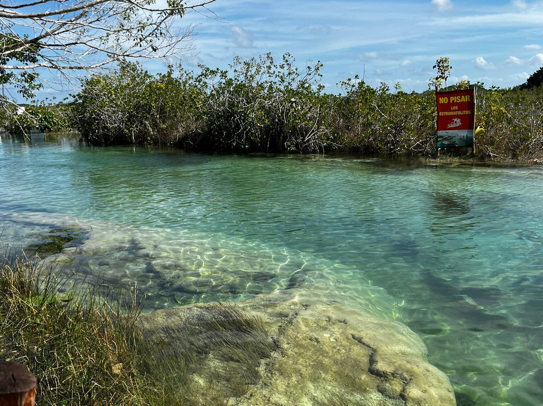 Stromatolites in Bacalar Rapids-Bacalar必去景点