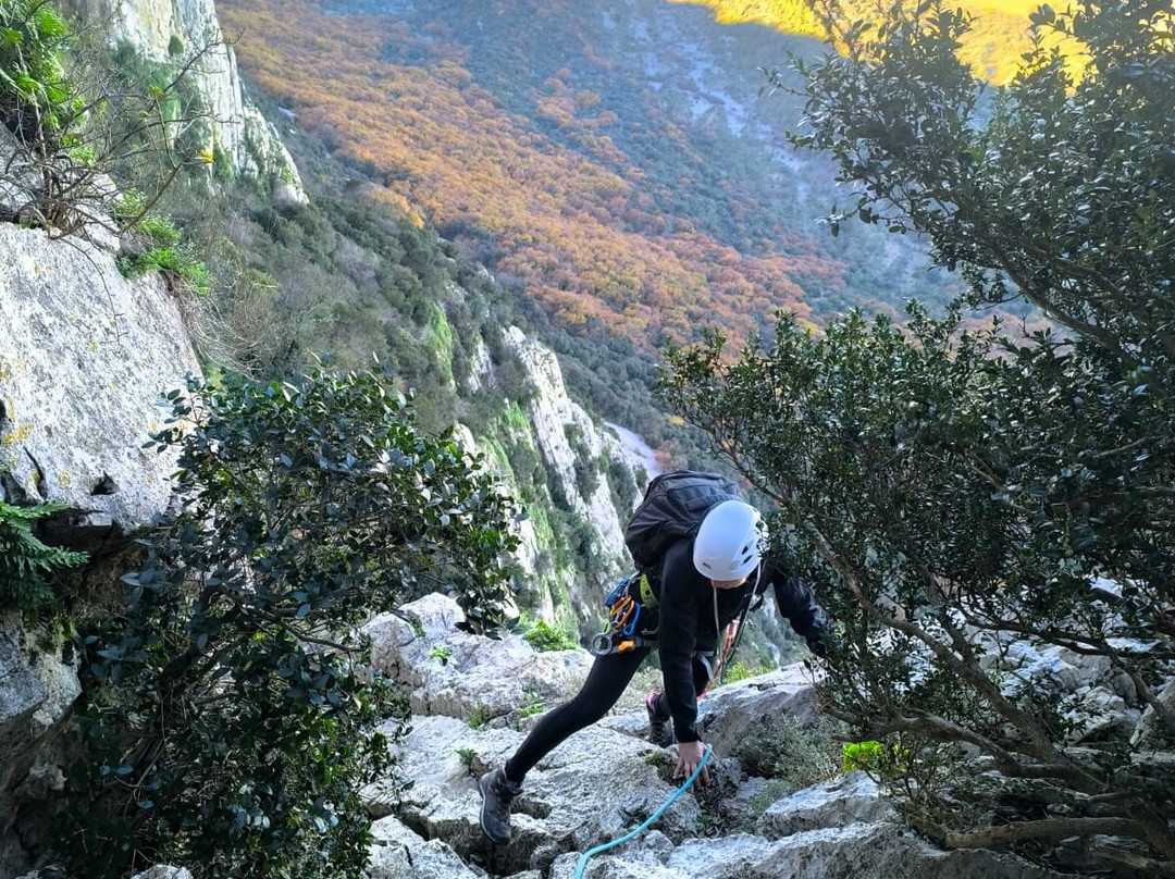 Rendez Vous Vertical景点图片