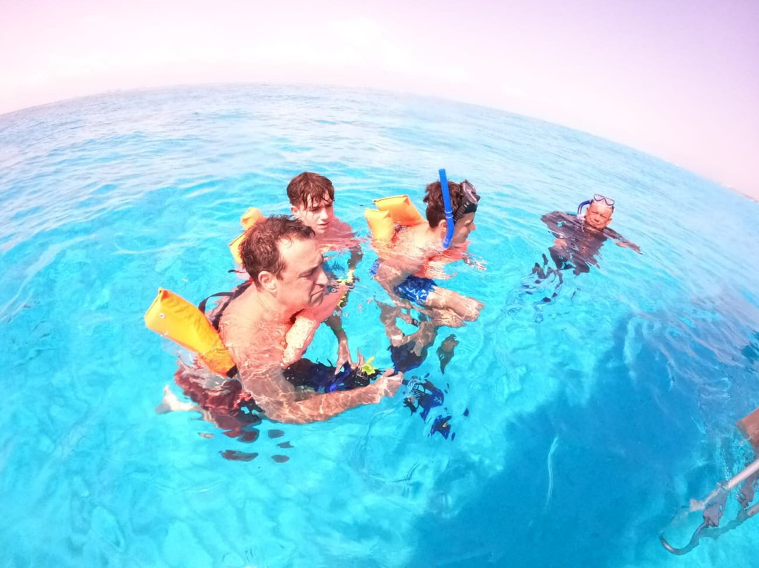 Dc Explorer Snorkeling In Isla Mujeres景点图片