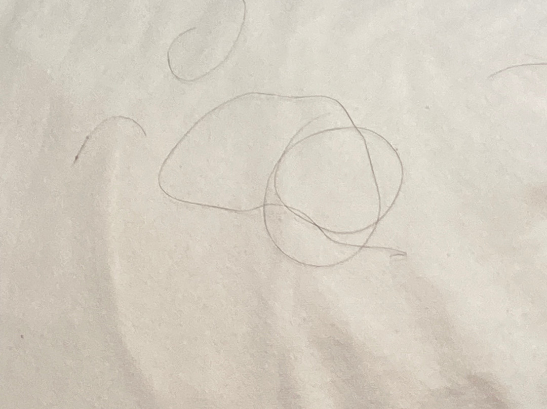 Woodridge Inn and Suites主图