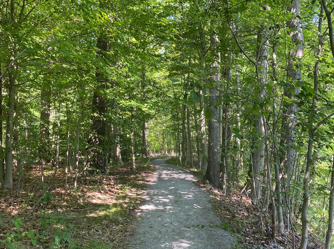 Mill Creek Park-Canfield必去景点