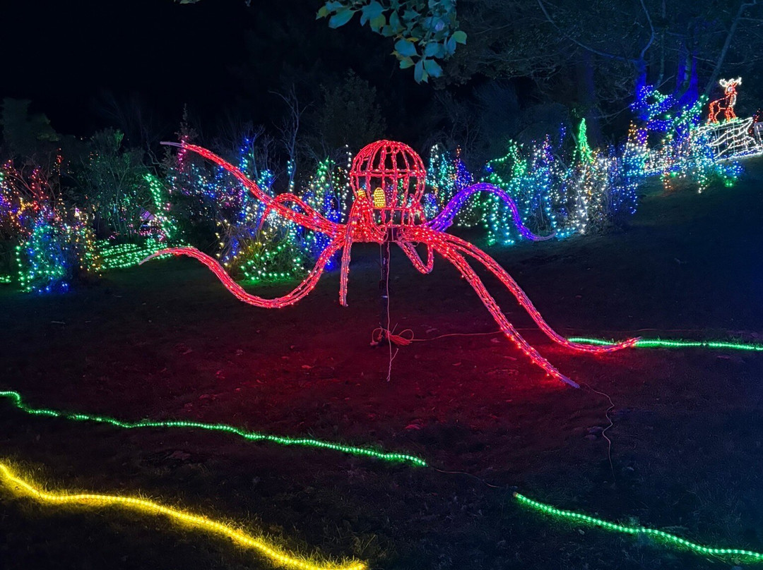 Azalea Park-布鲁金斯必去景点