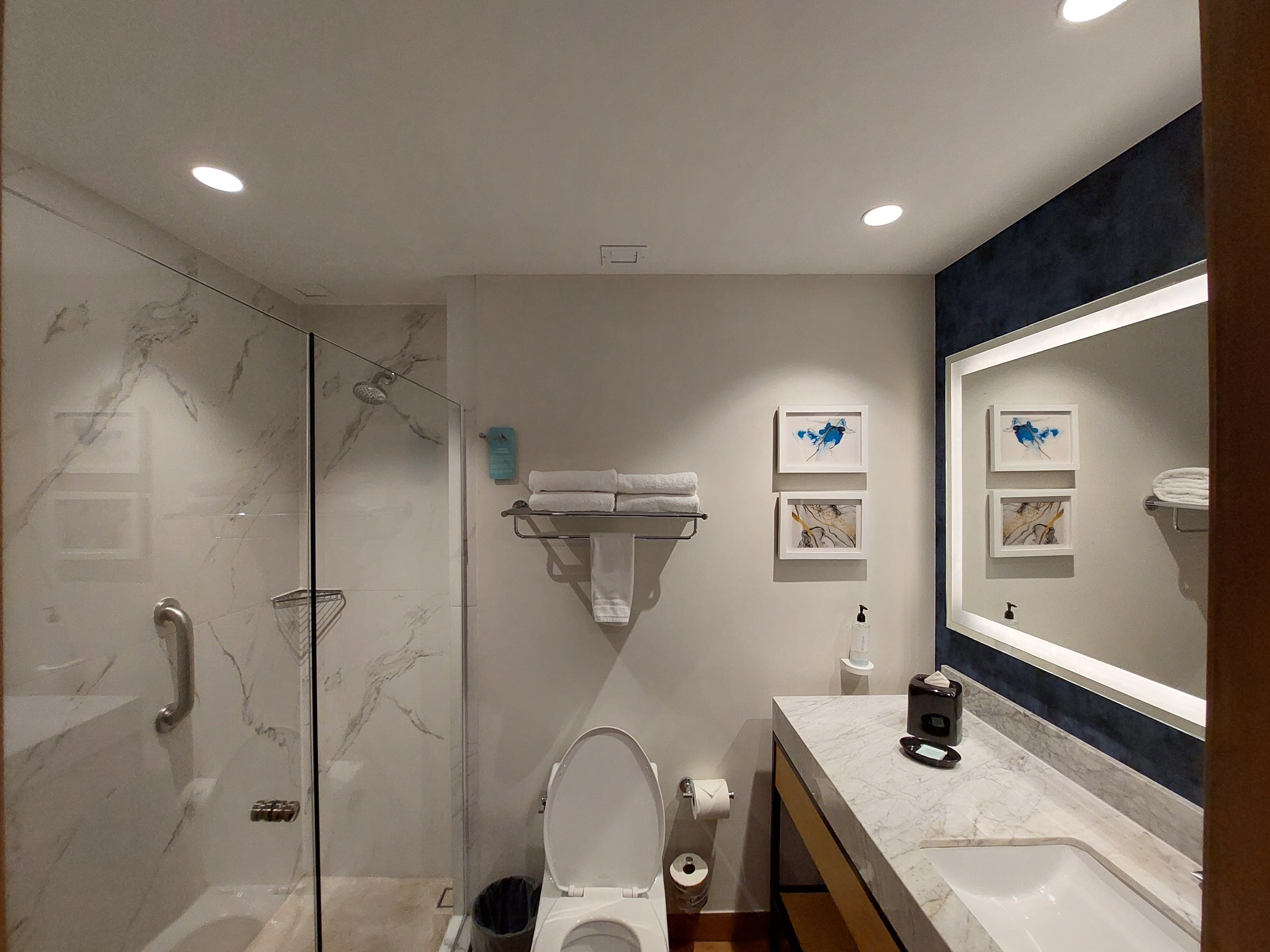 Hilton Garden Inn Cancun Airport-浴室