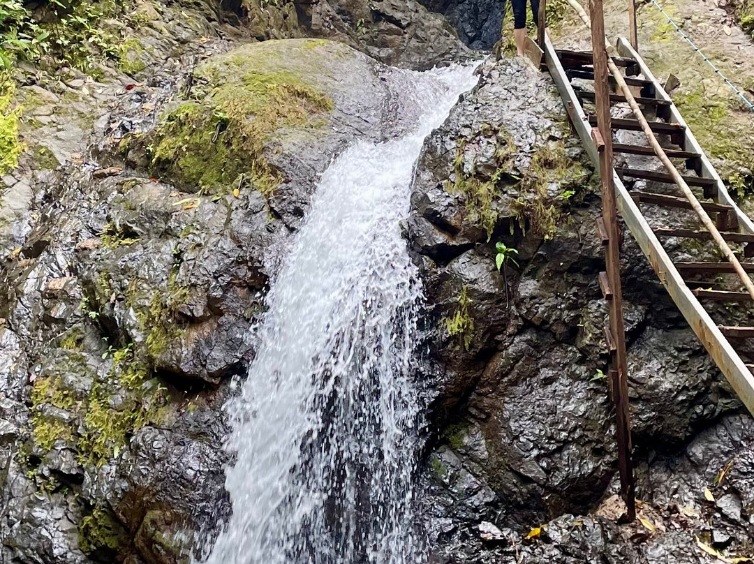 Emanuel waterfalls tours景点图片
