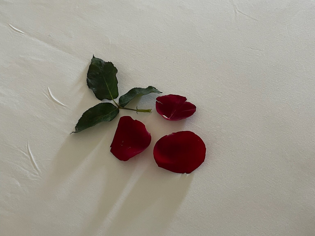 伊波罗之星度假酒店主图