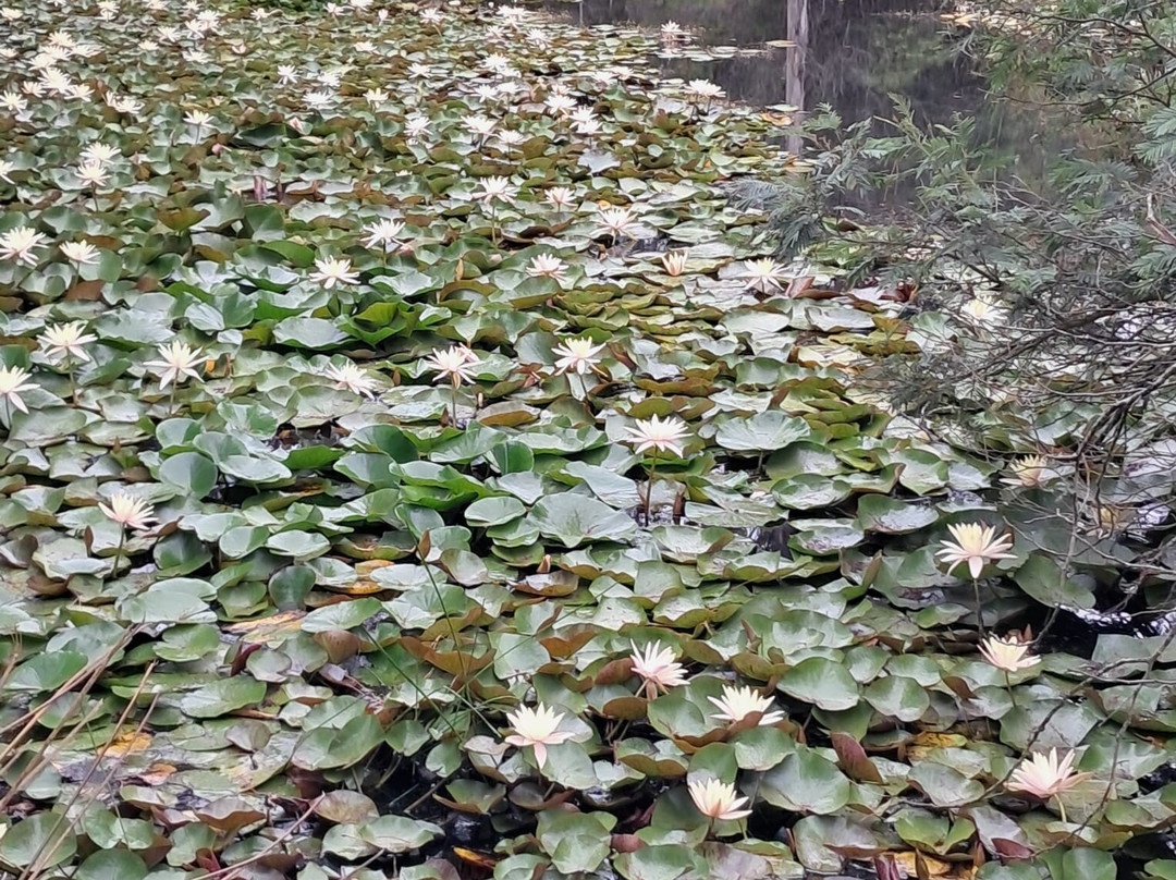 WildX Adventures Harkerville-哈克城必去景点