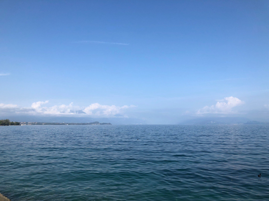 Spiaggia Desenzanino-代森扎诺-德尔加达必去景点