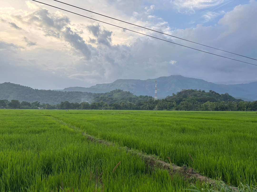 Udawalawe New Cab Service-Habaraluwewa必去景点