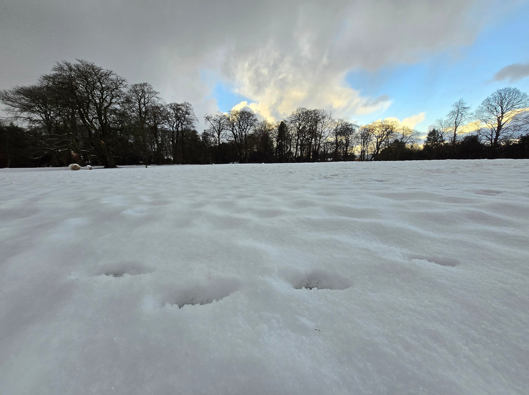 Reynolds Park-利物浦必去景点