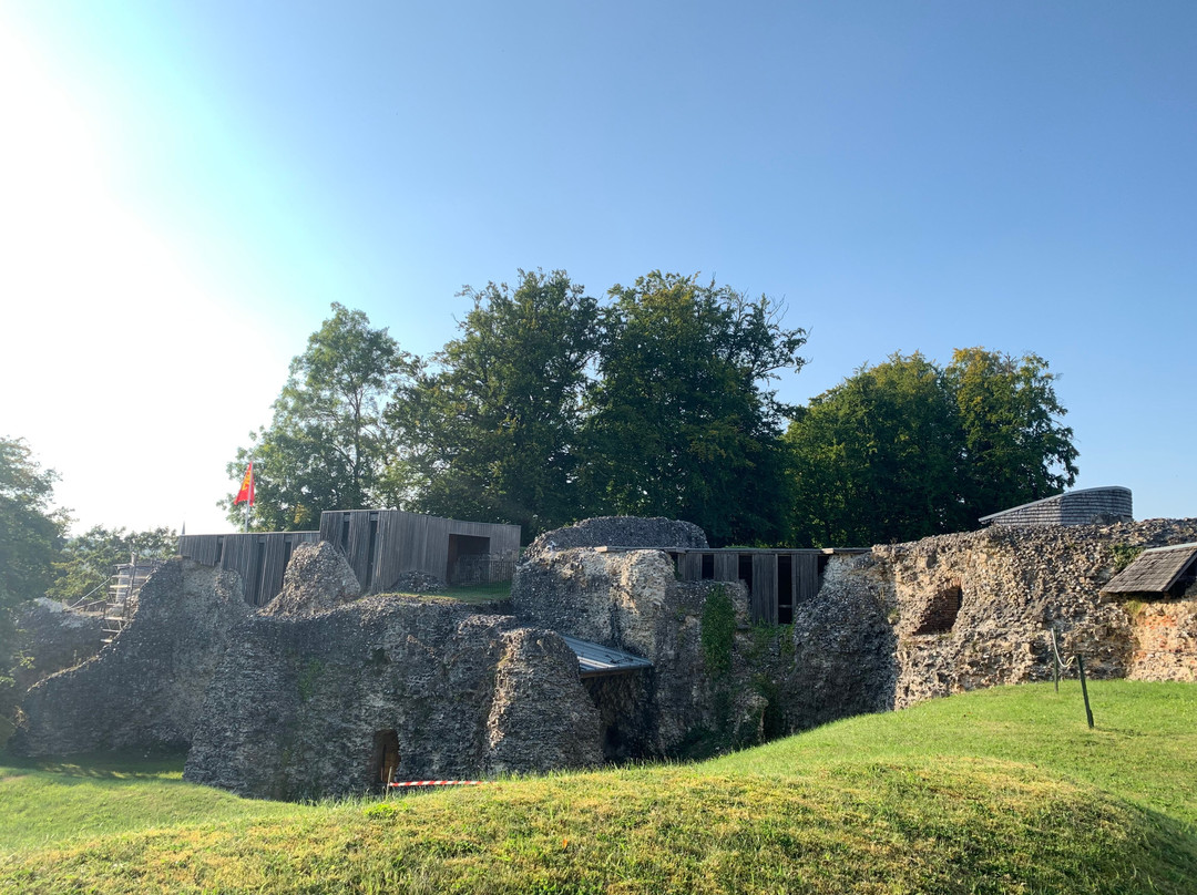 Château de Blainville-Crevon景点图片