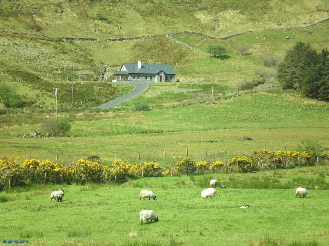 Mountain View B&B