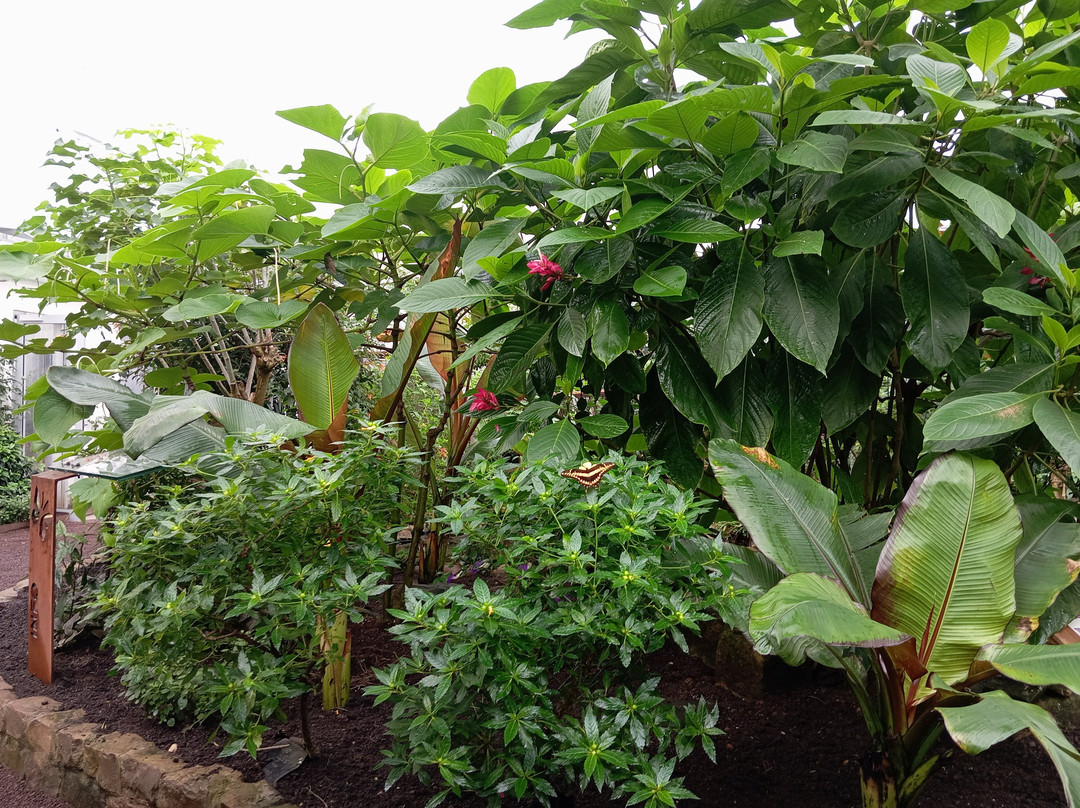 Jardin Des Papillons-Grevenmacher必去景点