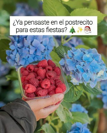 La Frambueseria-Lago Puelo必去景点