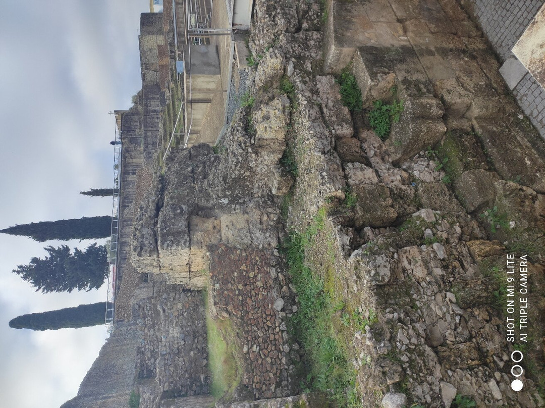 Anfiteatro de Italica景点图片
