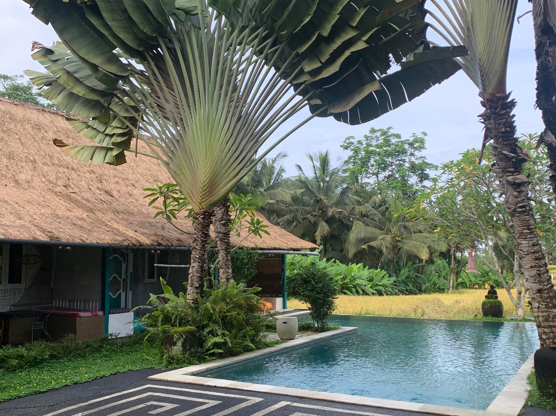 Hati Padi Cottages主图