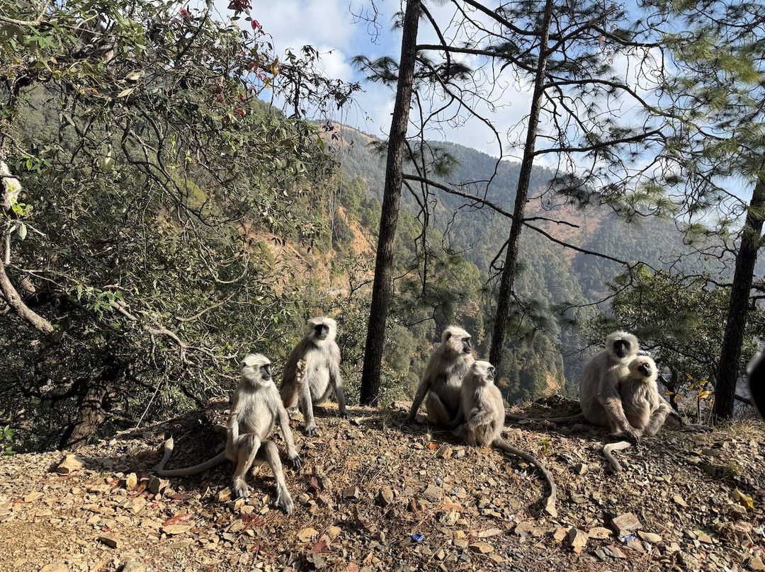 Clarks Residence Nainital主图