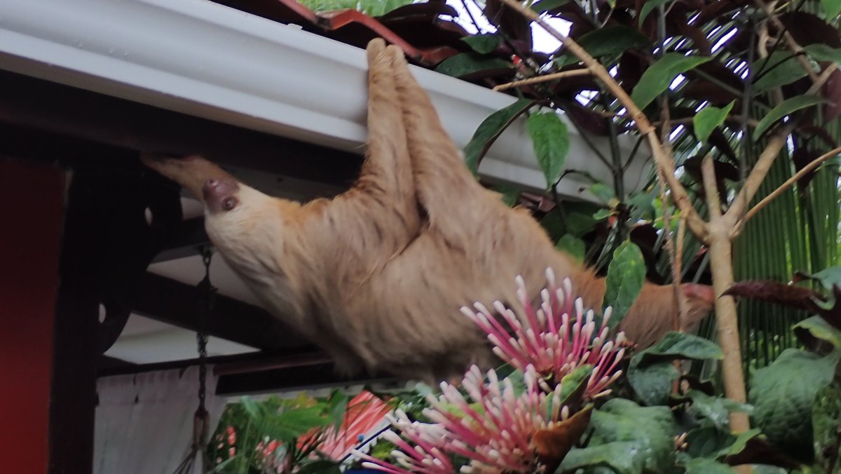 恩坎托住宿加早餐旅馆-客卧