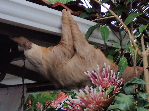 恩坎托住宿加早餐旅馆主图