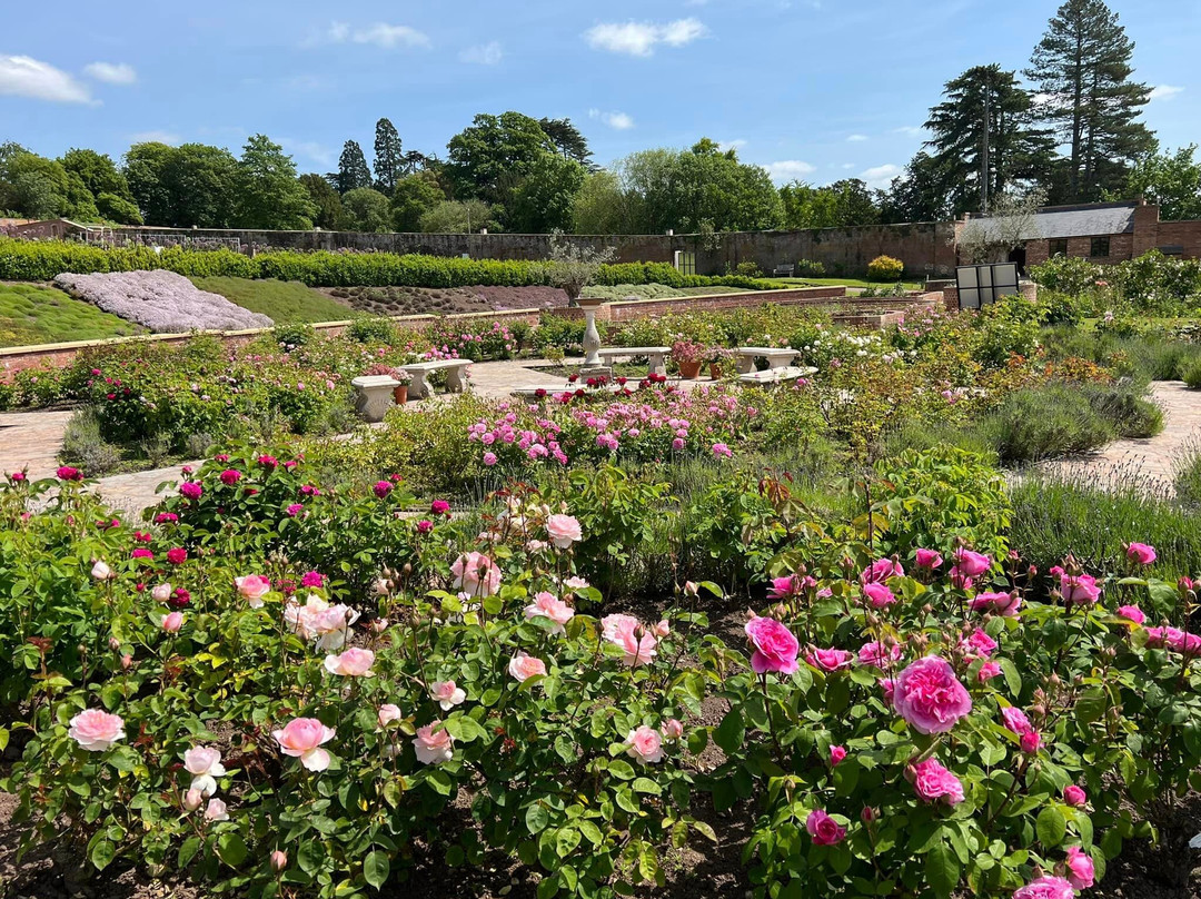 Strensham旅游景点-The Walled Gardens At Croome Court
