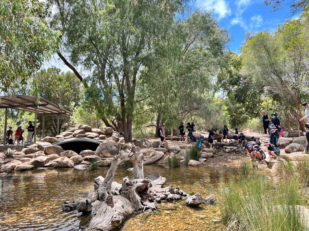 Rio Tinto Naturescape Kings Park-珀斯必去景点