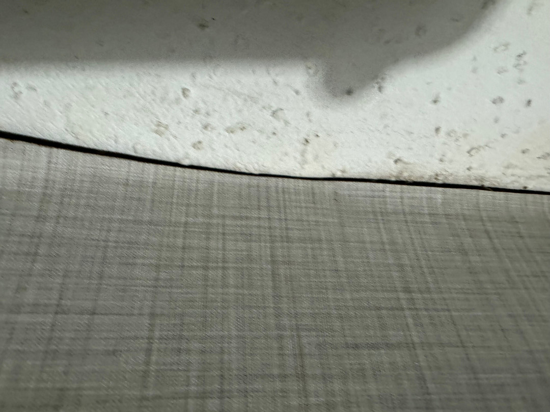 Wingate by Wyndham Bridgeport主图