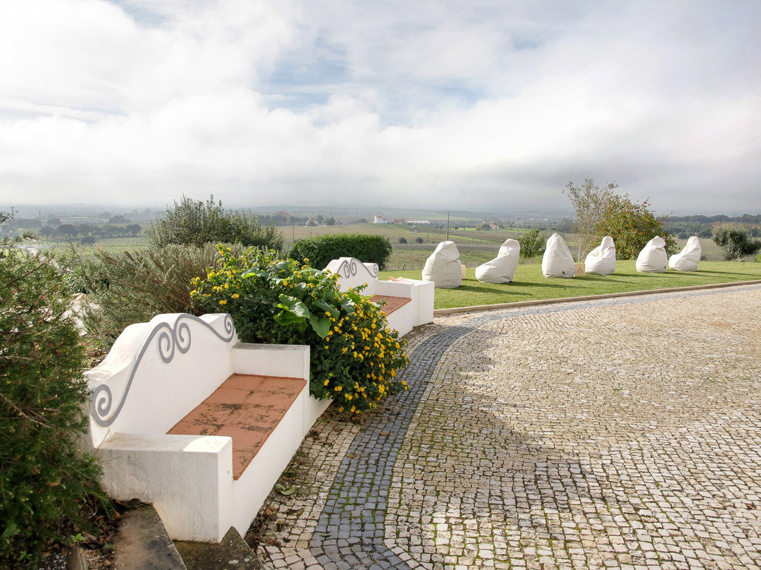 Aliestre Vineyards - Quinta da Esperança景点图片