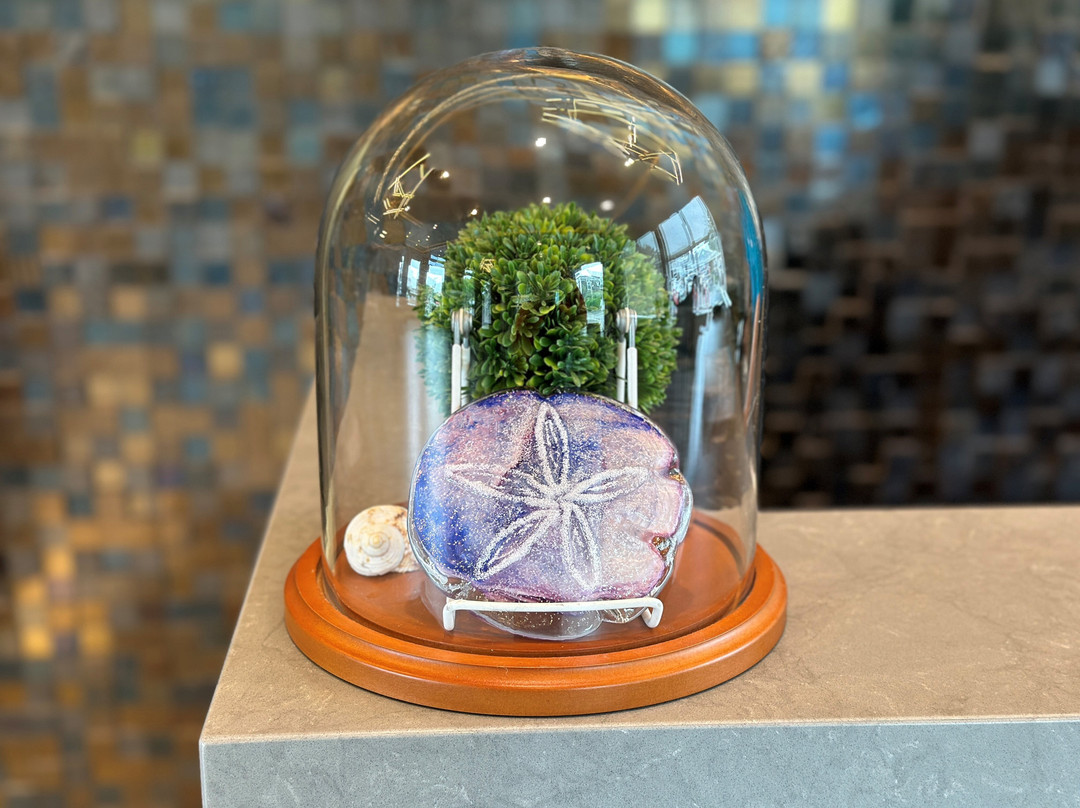 瑟夫杉度假村主图