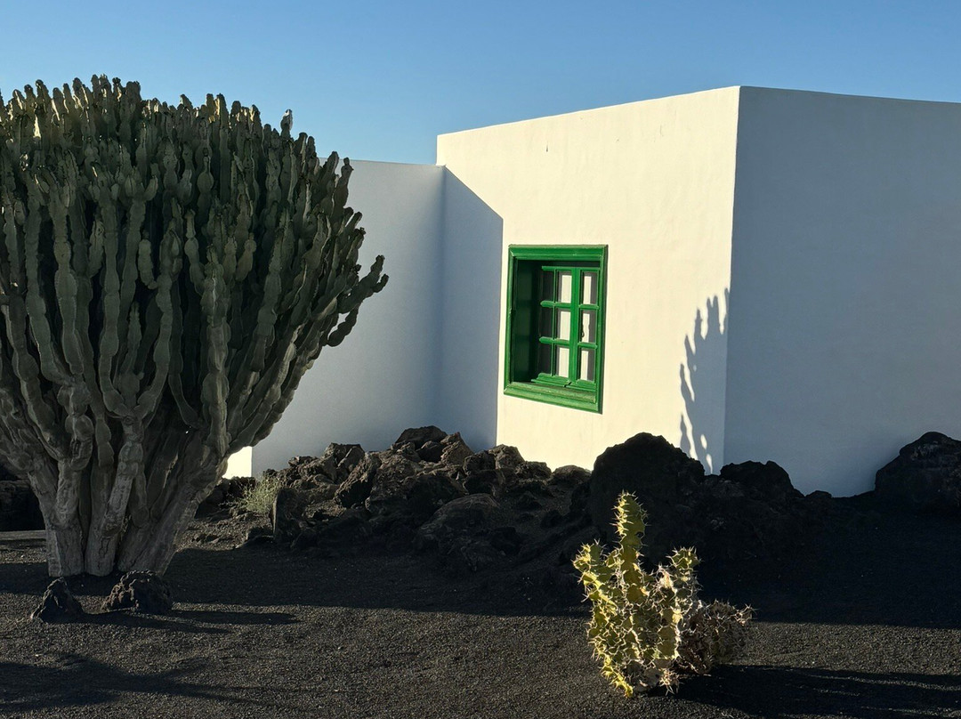 Casa de las Flores - Hotel Boutique Lanzarote主图