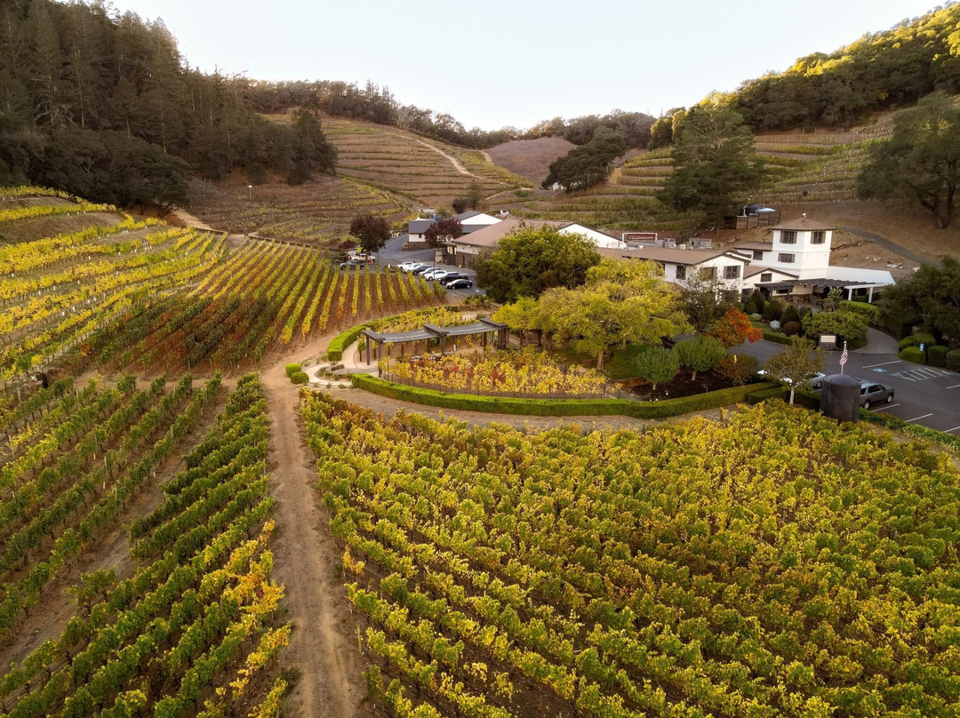 Pine Ridge Vineyards景点图片