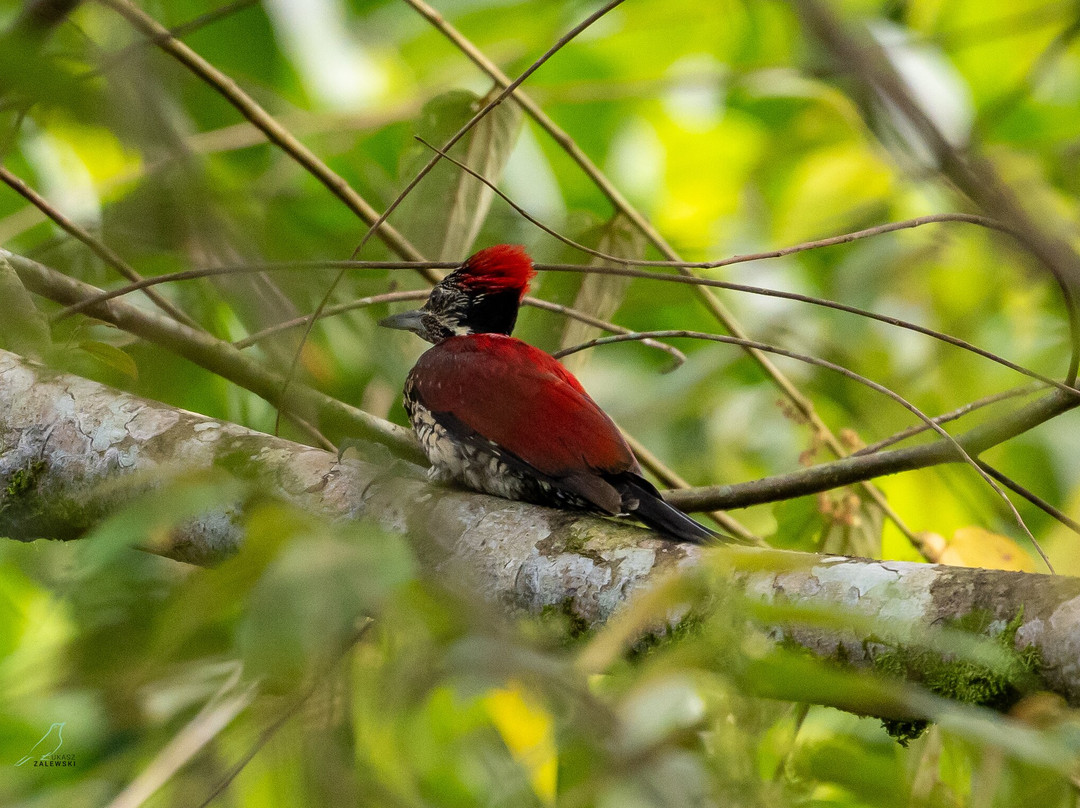 Sri Lanka Tours By Wildscape-Dunagaha必去景点