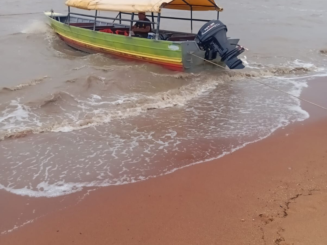 Galibi Nature Reserve-Marowijne District必去景点