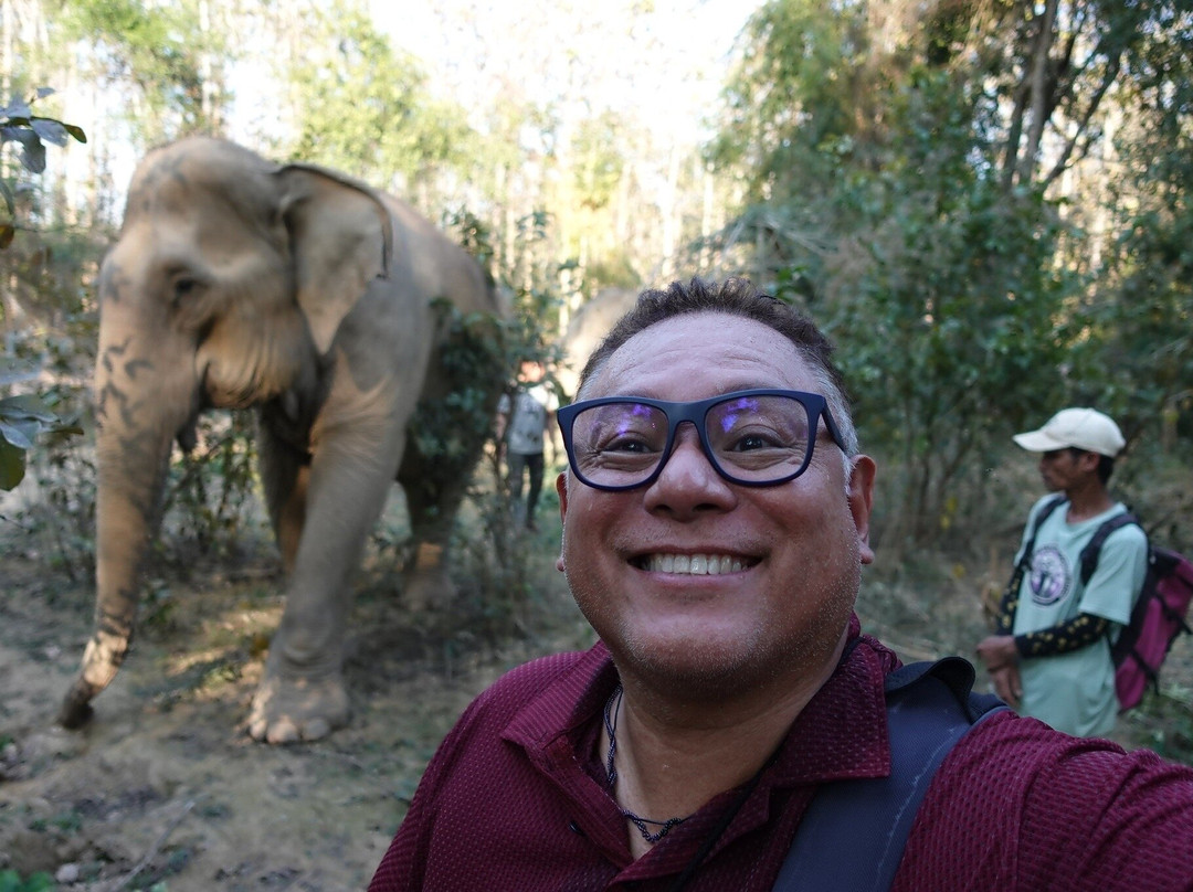 MandaLao Elephant Conservation景点图片