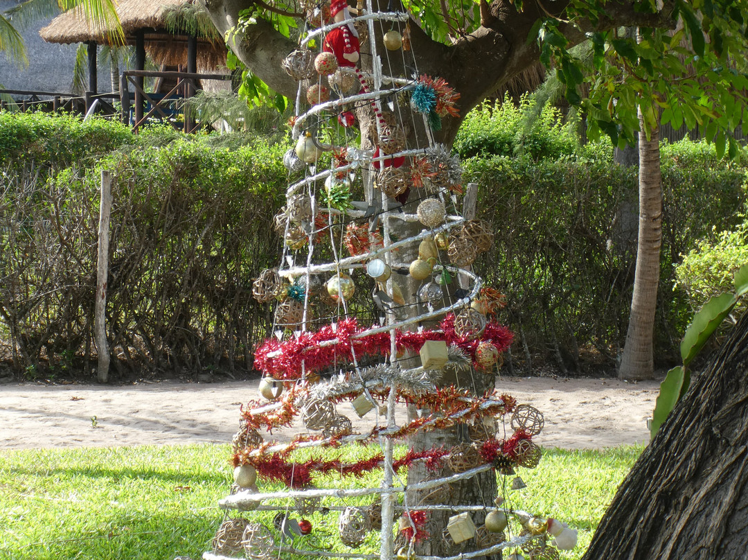 Villas do Indico Ocean Eco-Resort & Spa主图