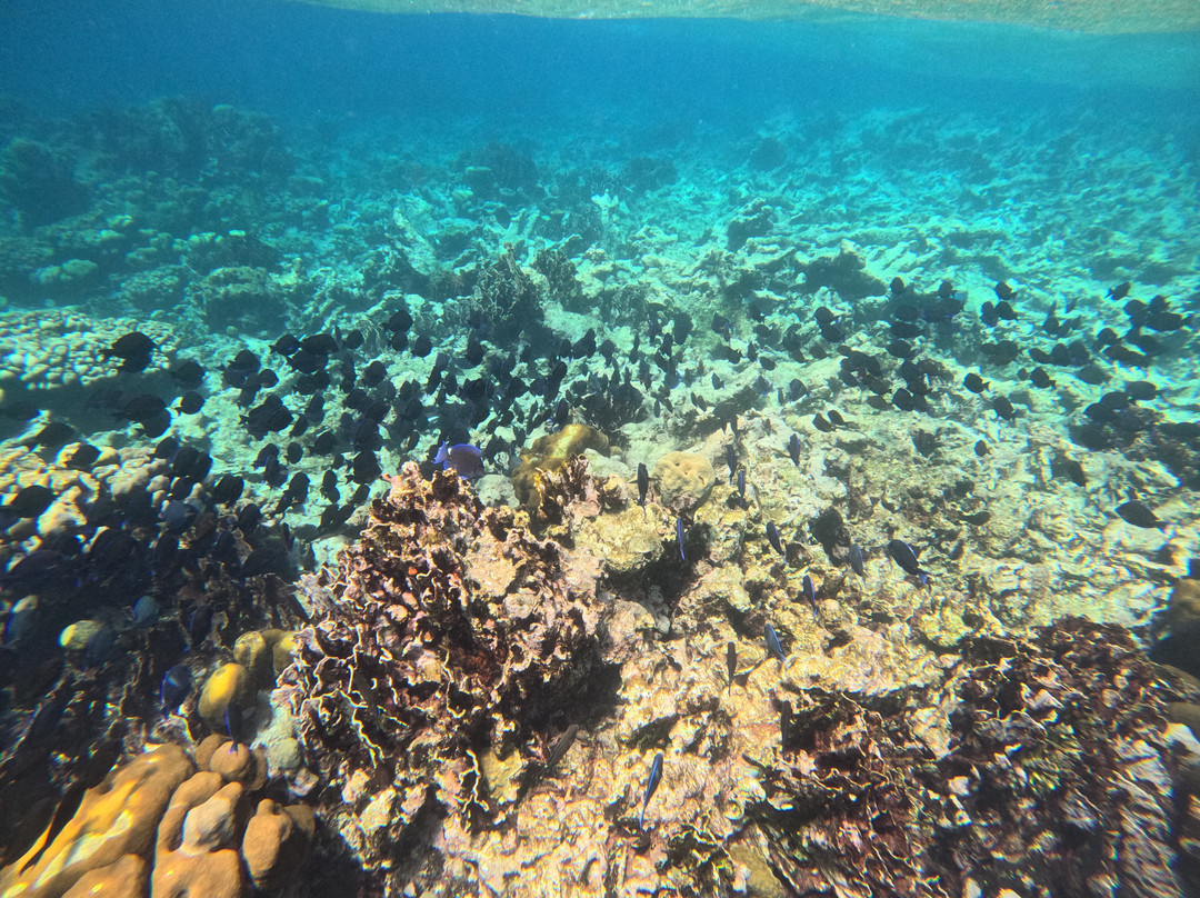 Tranquilo Charter Cruises-奥腊涅斯塔德必去景点