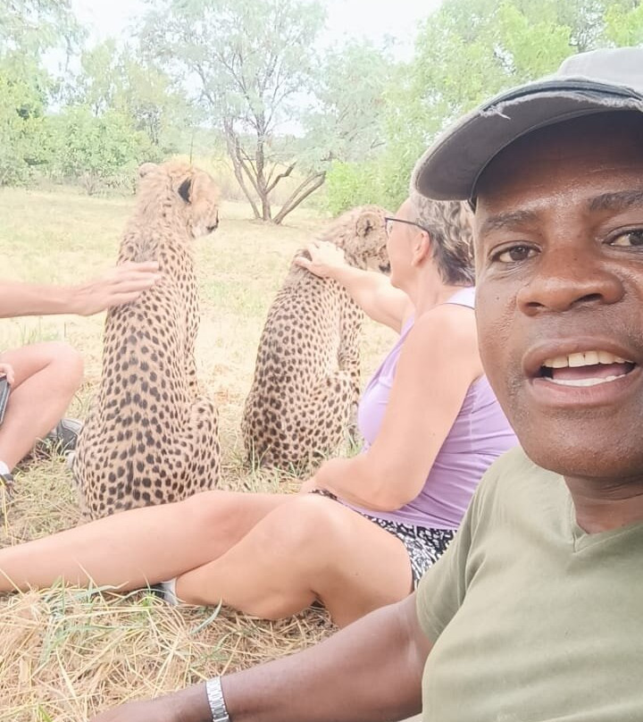 Lion and Cheetah Sanctuary-柯立南必去景点