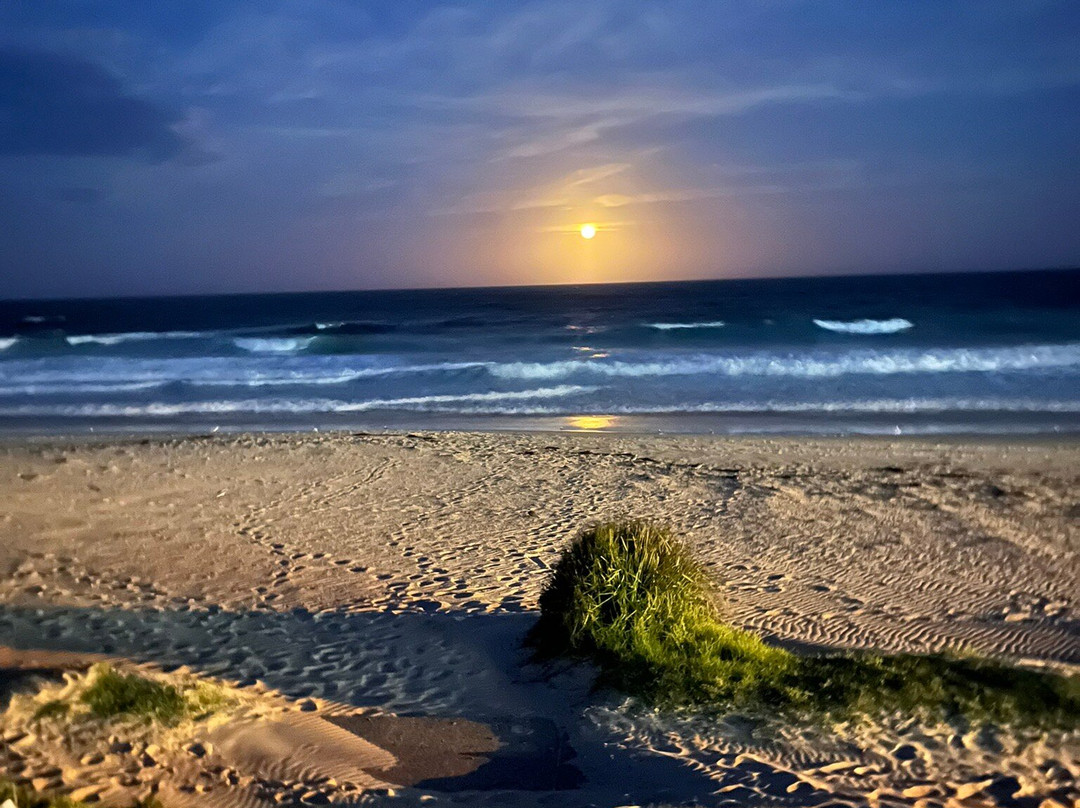 Allure on Ocean Motel主图