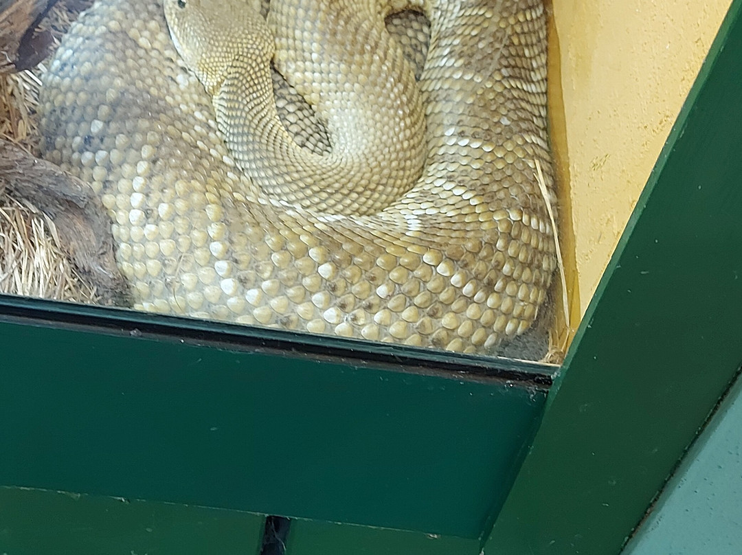 Reptilienzoo Nockalm-Patergassen必去景点