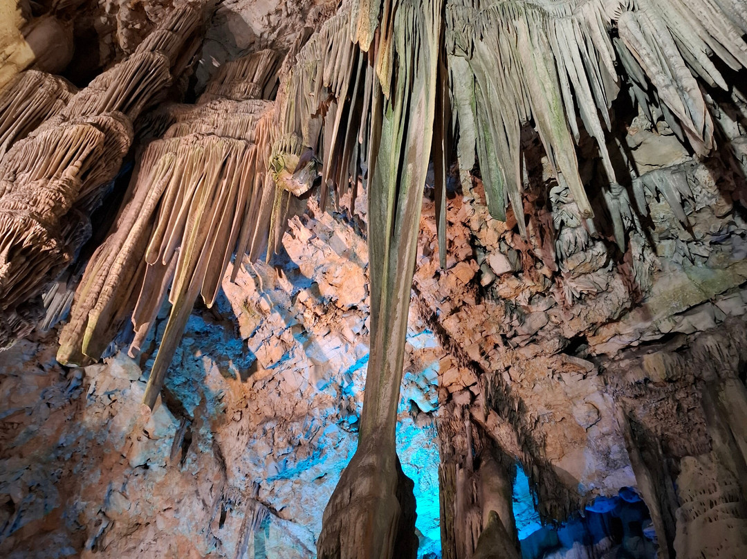 Gibraltar Rock Tours by John Lopez-直布罗陀必去景点