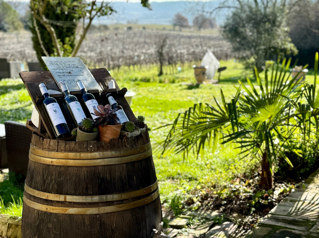 Domaine du Mas d'Alphonse主图