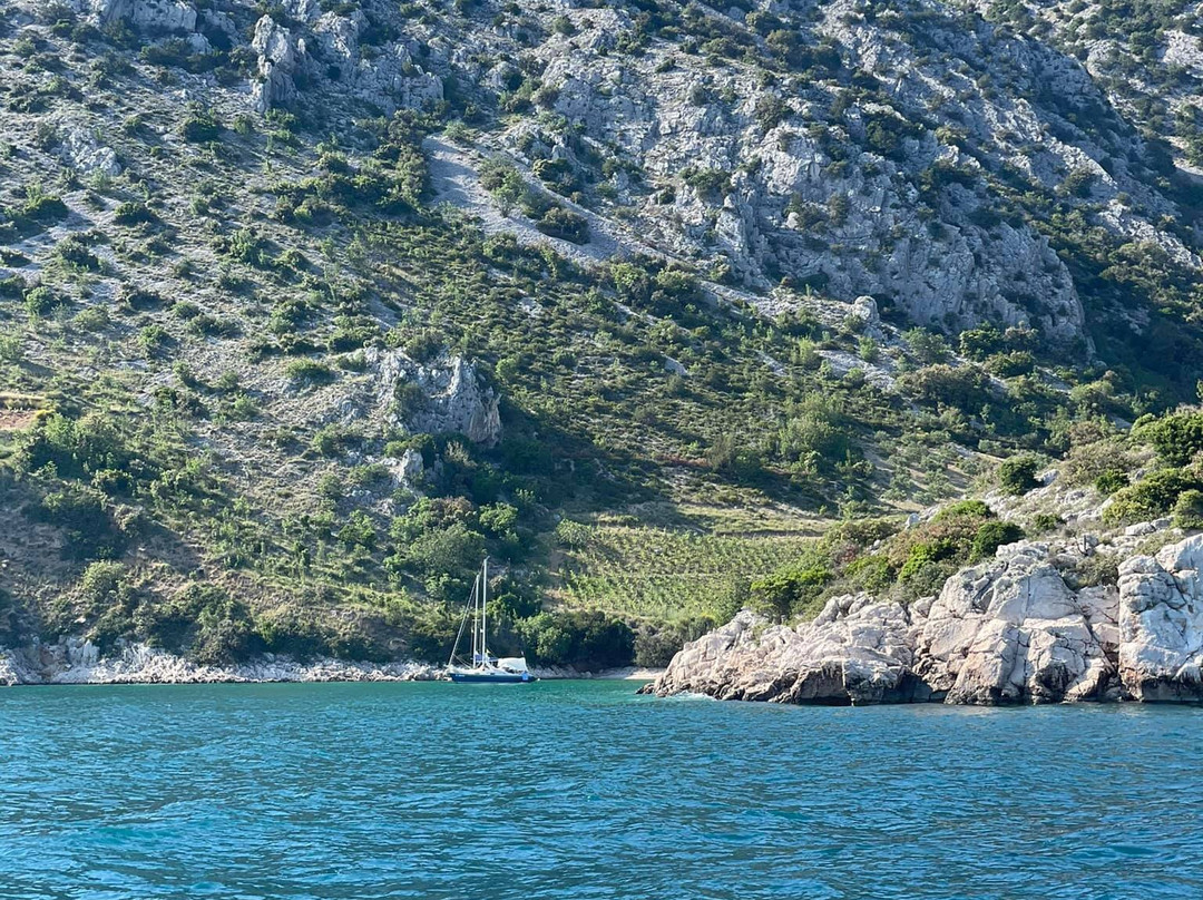 m/y Stella Polaris景点图片