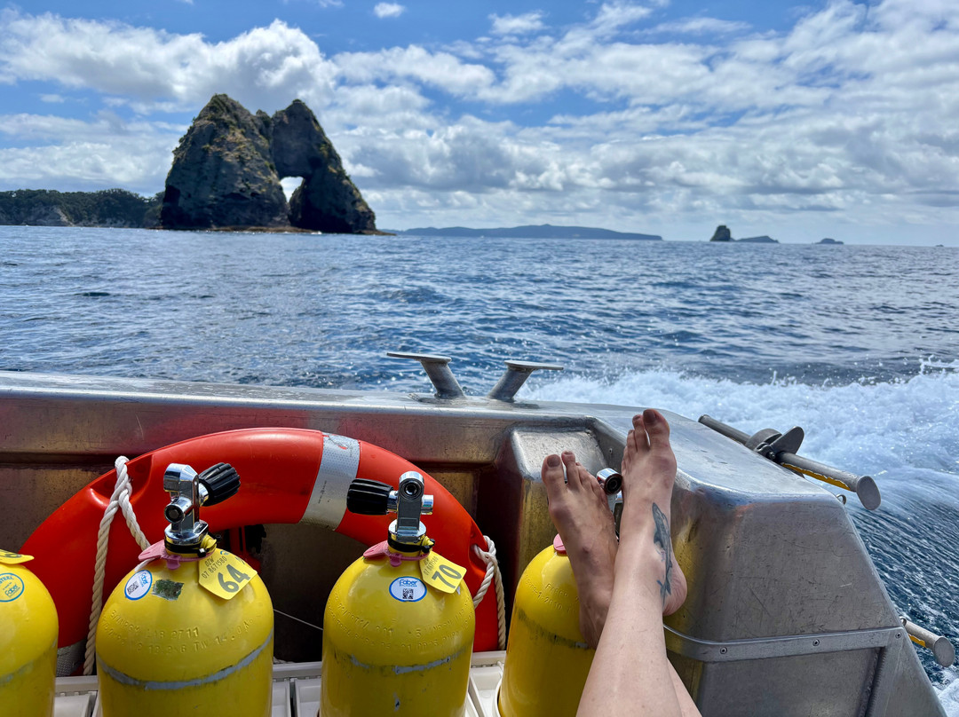 Dive Zone Whitianga-菲蒂昂格必去景点