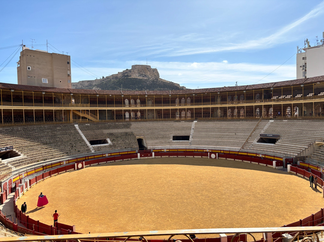 Plaza de Toros Alicante景点图片