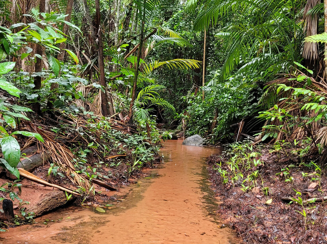 Chapada Das Mesas Expedições景点图片