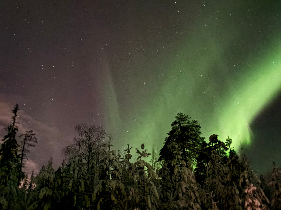 Visit Lapland Tours-罗瓦涅米必去景点