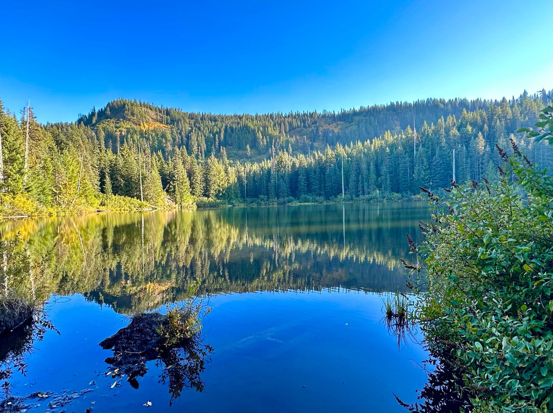 Mount Hood National Forest-克拉克默斯县必去景点