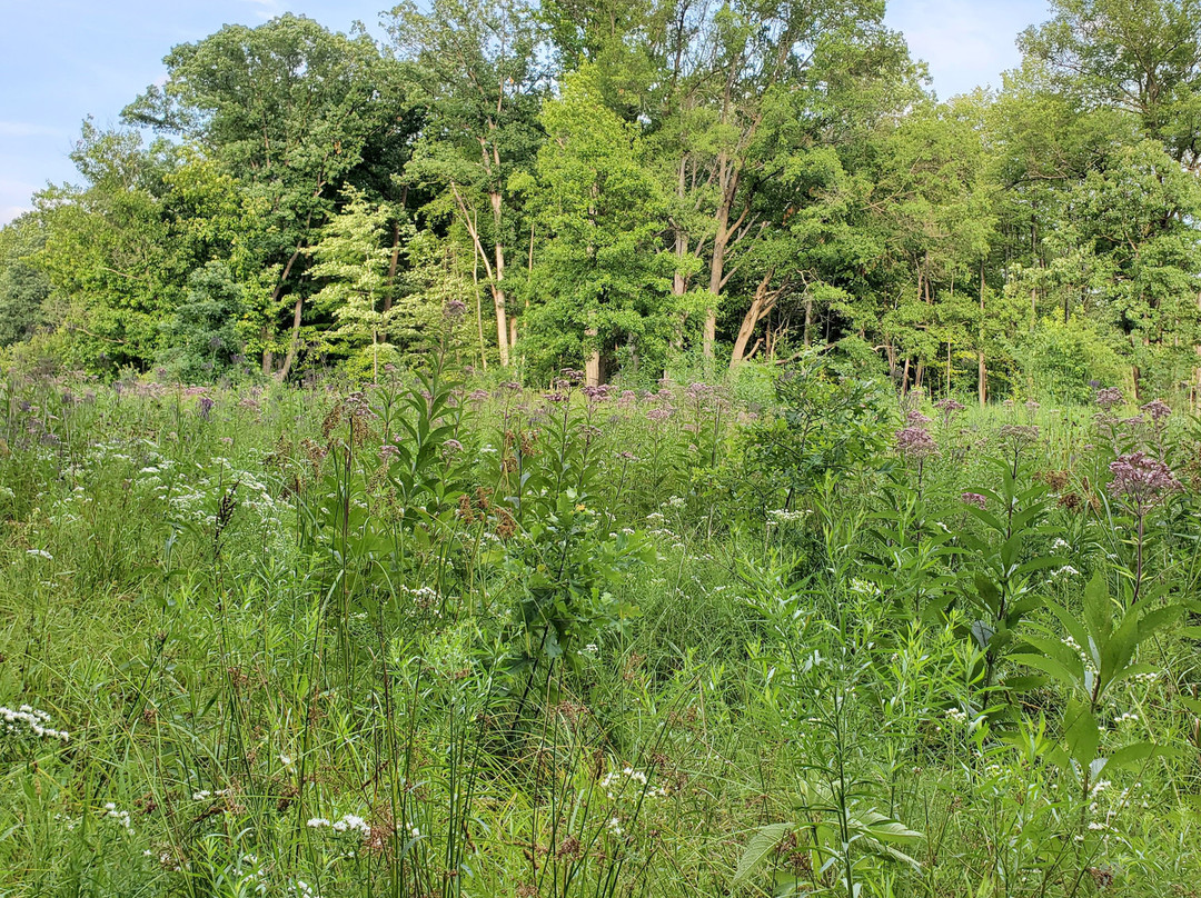 Brecksville Reservation-Brecksville必去景点