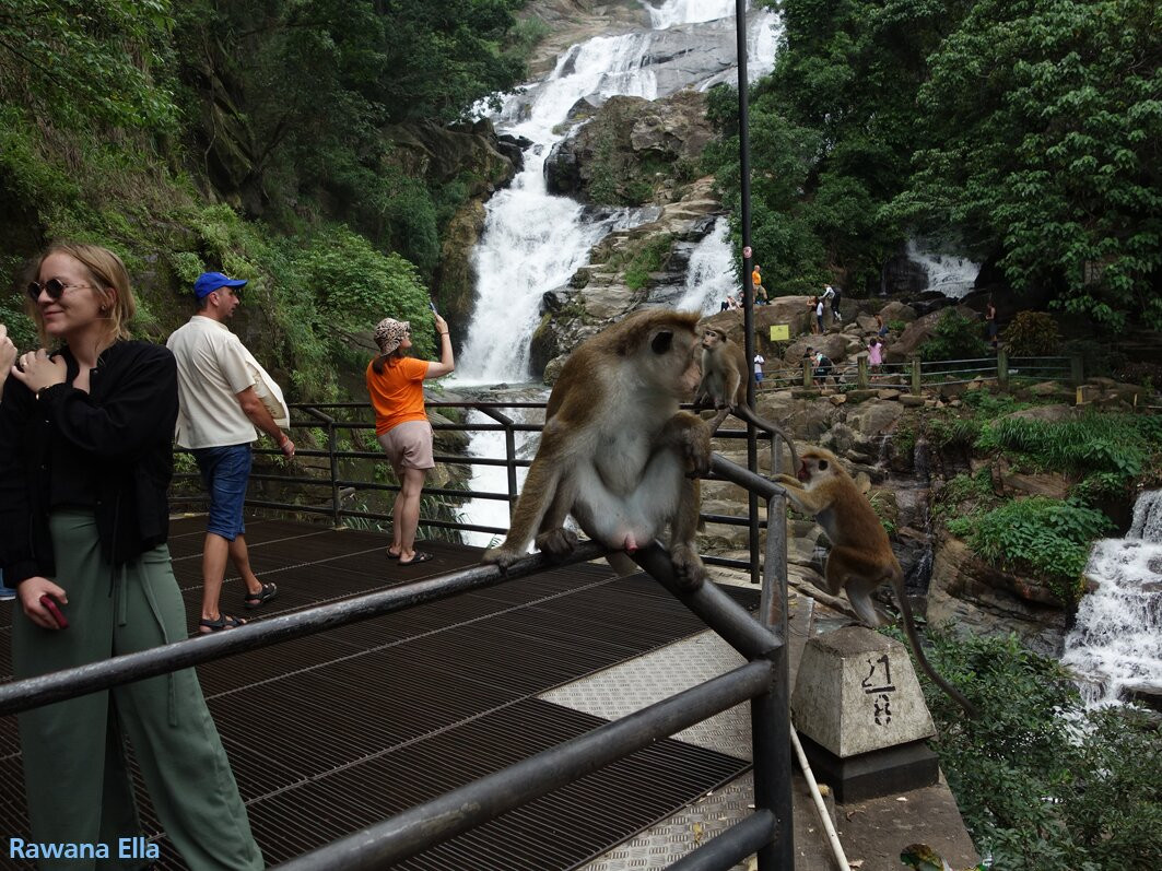 Himaliyan Tours and Travels-卡卢特勒必去景点