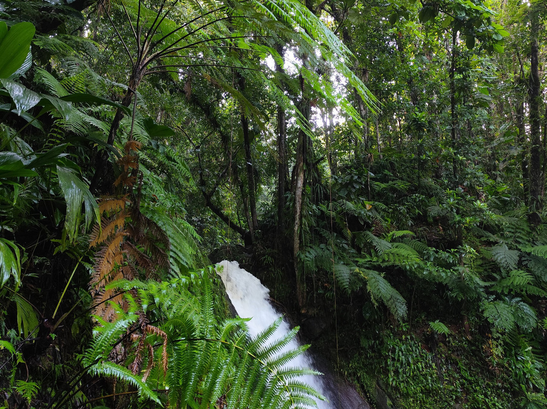 Cascade aux Ecrevisses-Parc National必去景点