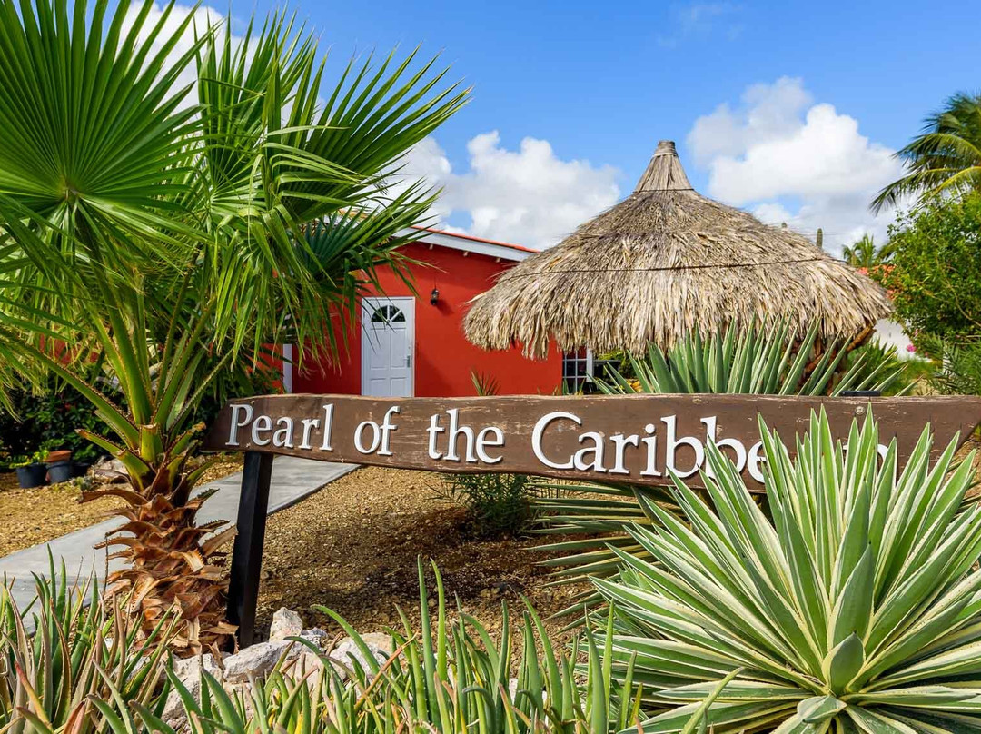 The Pearl Of The Caribbean